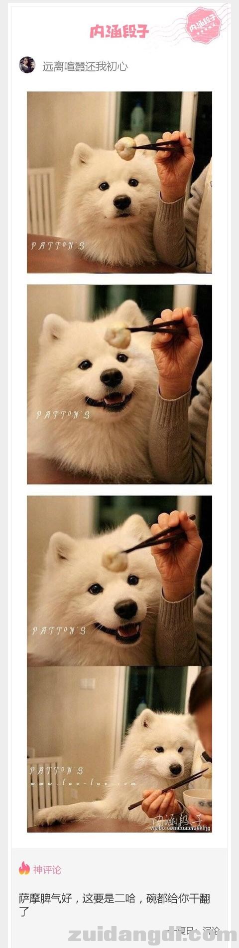 1dbc0002296070992500