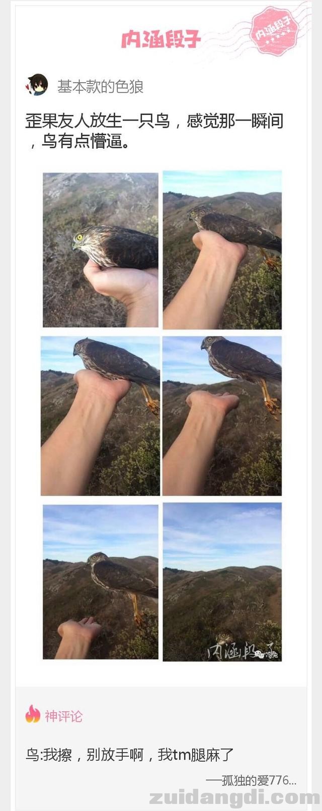 1dba00022b4ec41bfc13