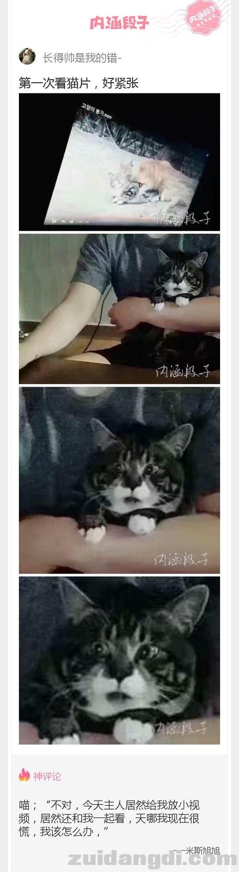 1db7000449b4bebe1369