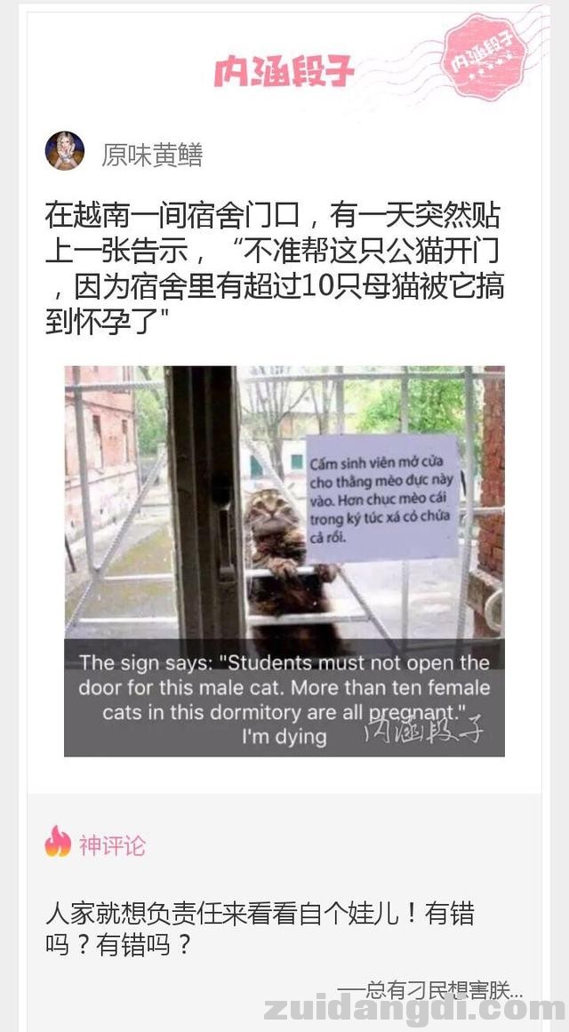 1dbb0000588d175306a4