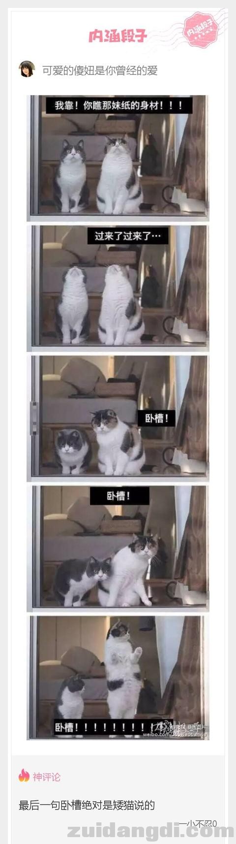 1dc50000ff054b051436