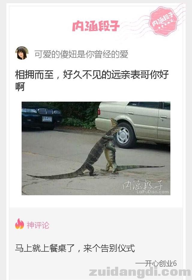 1dc50000ff608d8db980