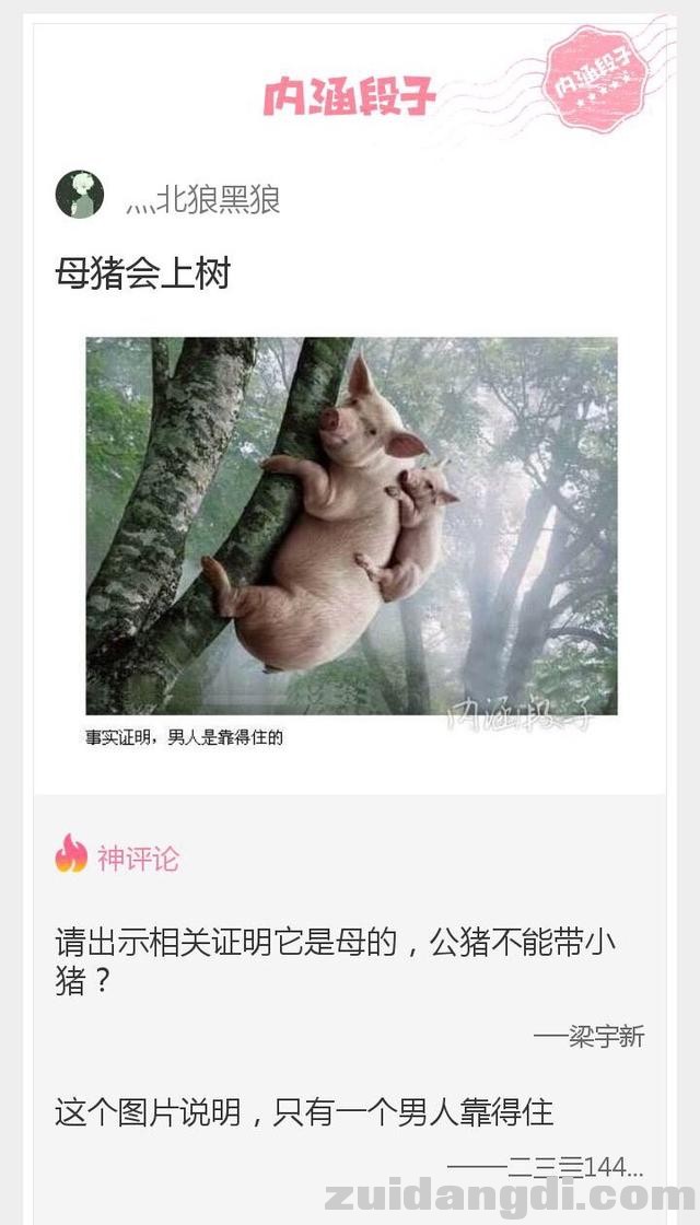 31ee00027d2d4a24279a