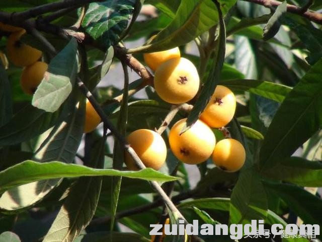 22d80004df6dabac153f