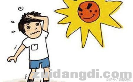 2432000568bbcf32c8fb