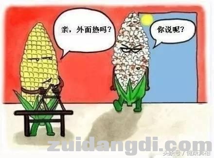 243900001b4a01caec7b