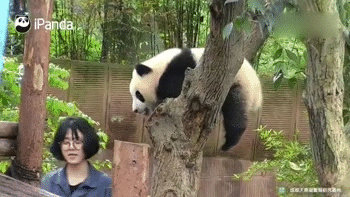 1cd400017d96e142cd1f