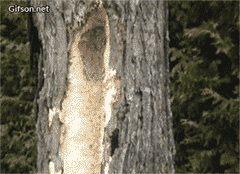 1cd4000182054ba306d8