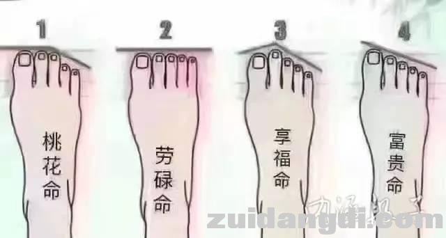 1dbc0002b8566b8bbf96