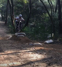 1cd400022b3541d42628