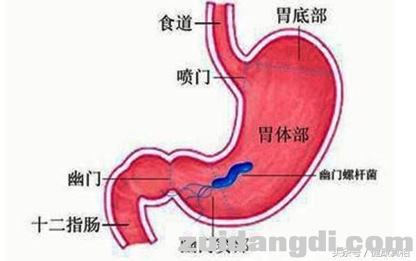 1c5d00047f32eea41c64