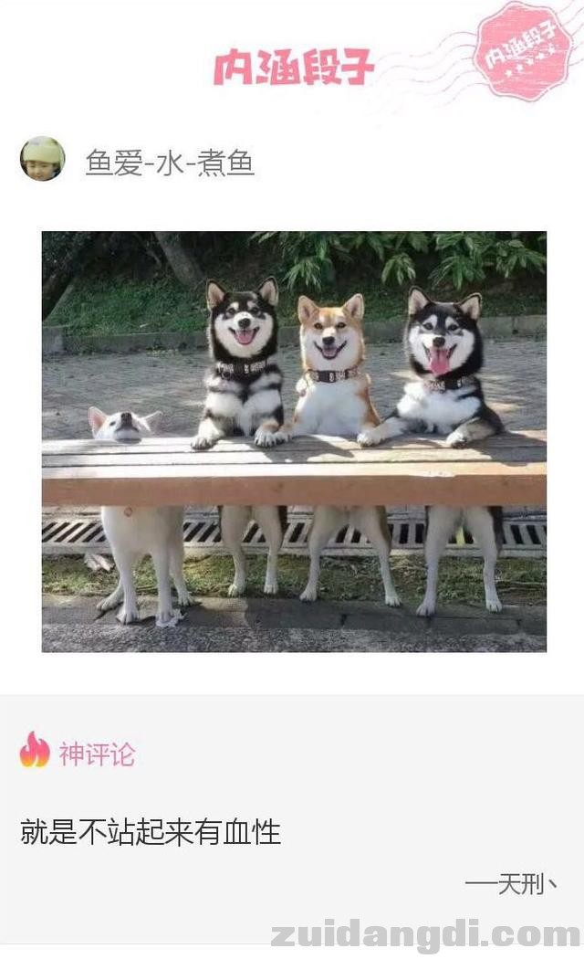 2ee20004fe4e0083ab7f