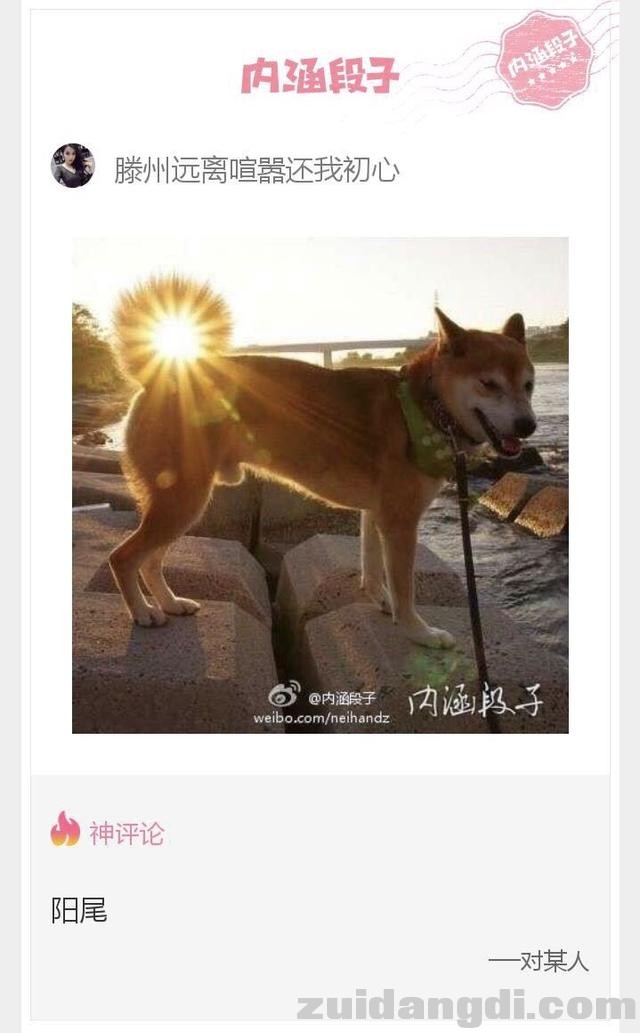 31bb00027605de6b0e28