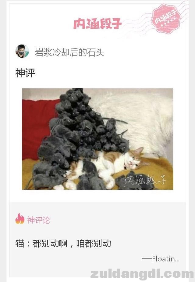 31c000006998dc7a994a