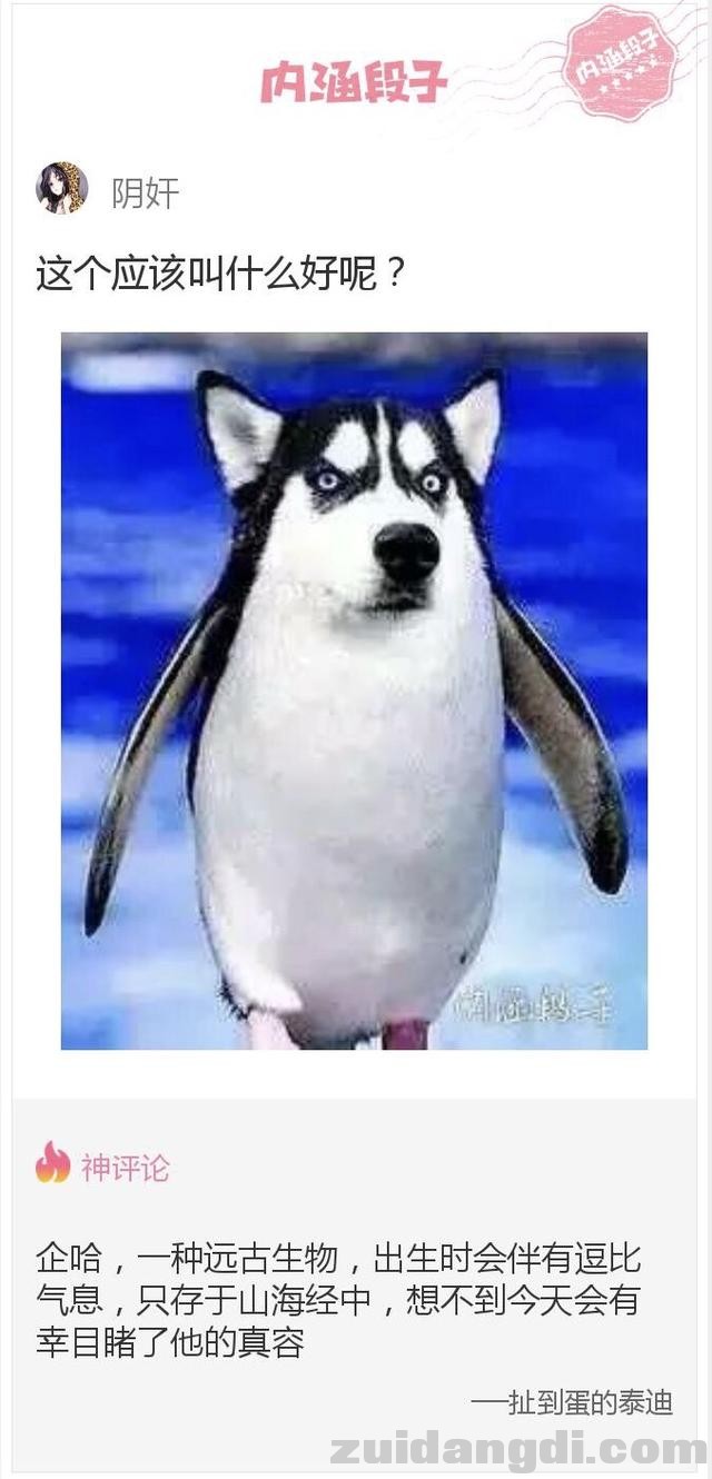 31c10000687e655553e4