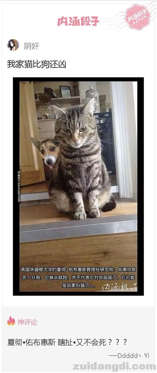 31c6000065afac121a71