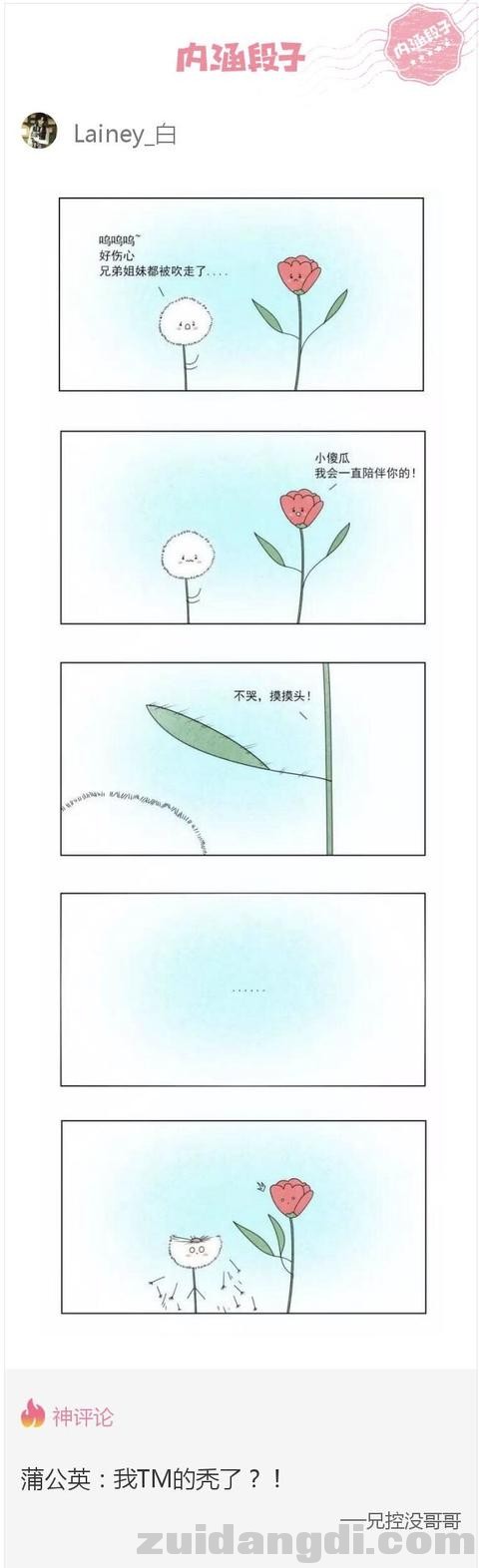 31c6000065b21f59fea2