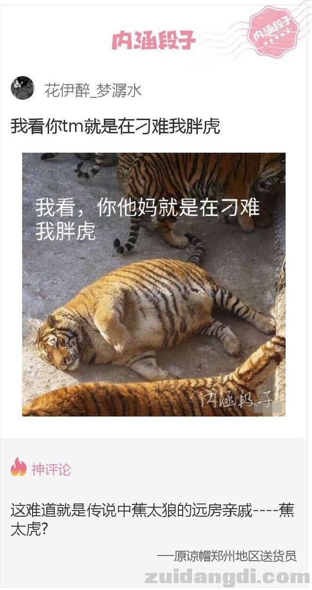 31c0000354ddec3ef84b