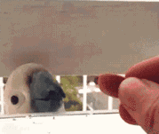 1fdc0004bc461015decd