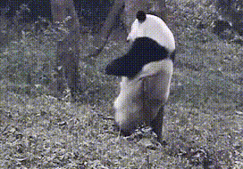 1fdd0004b8e22b36177f