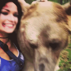 29cd000497b7cb88359f