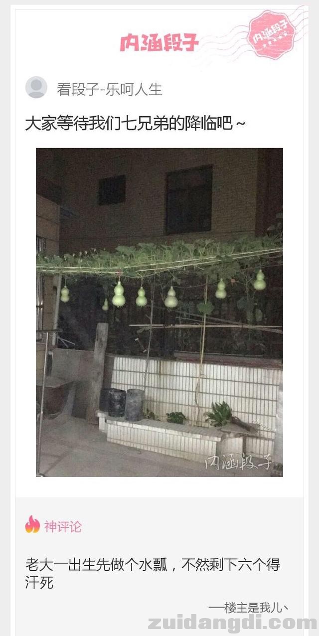 2c2b00032974a09a12b9