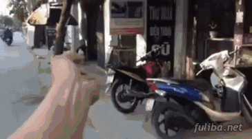 29d20004c0f37a081a55