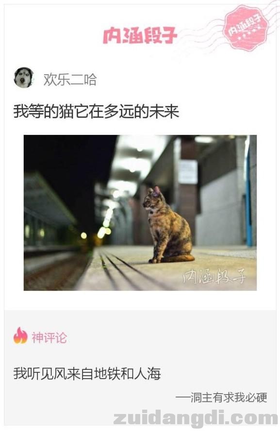 22ce0004fcd83eb8c349