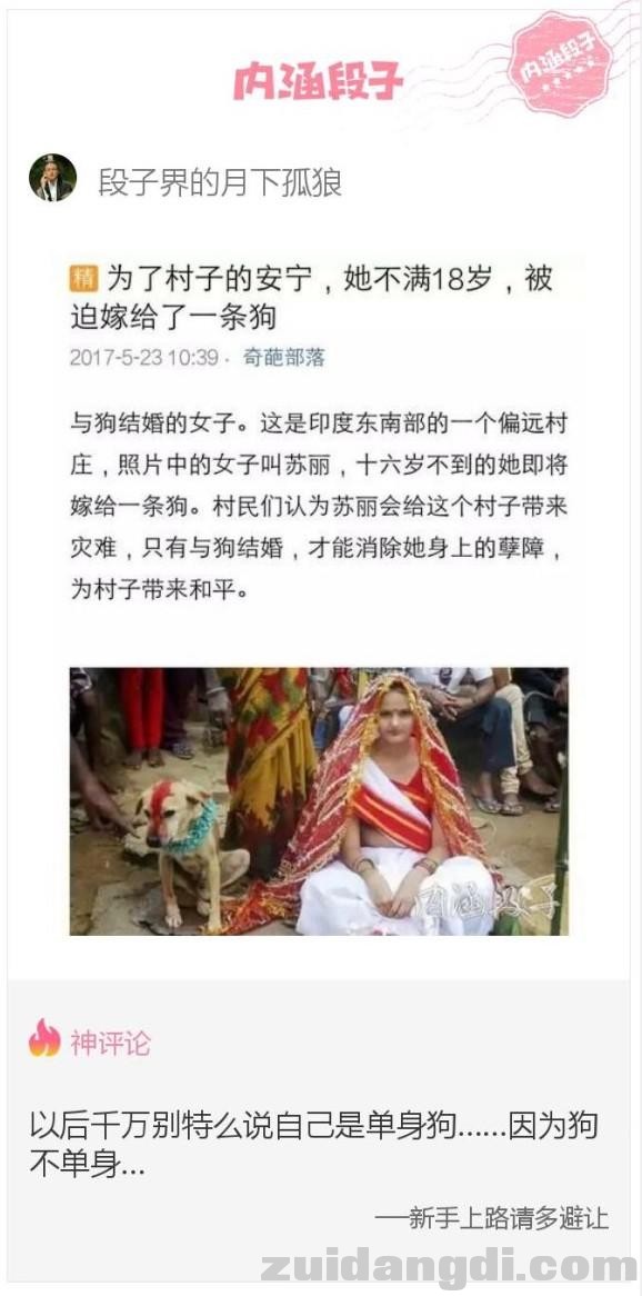 213d0002353bde1b9b9e