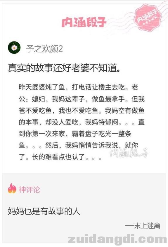 213d0002353c06c803fe