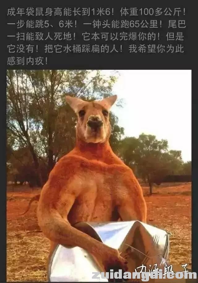 22d300032dde11d95fc5