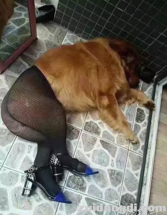 22d4000326d5e6571e09