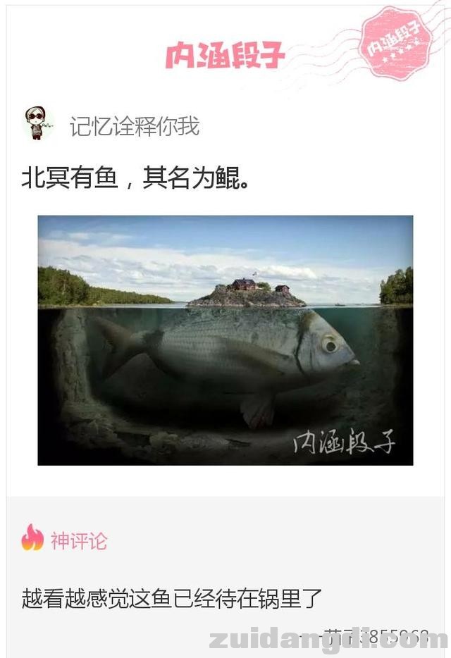 213e0005ed11f3939992