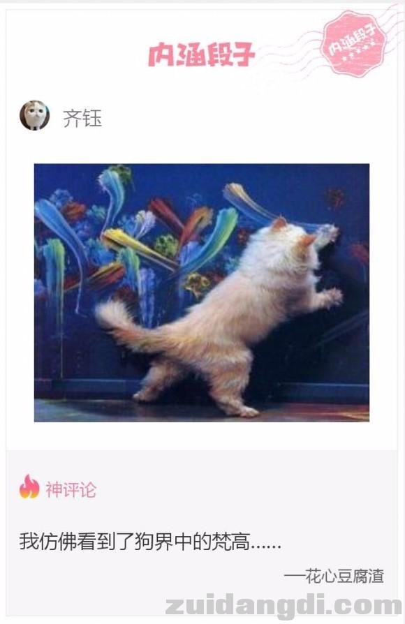 22cf0001811b6359d482