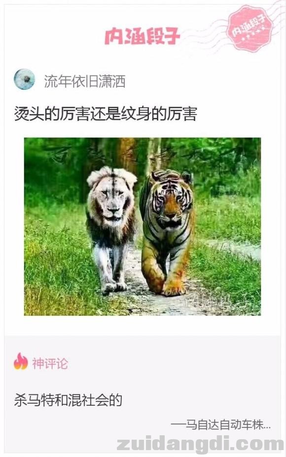 22c9000450d634d86e0c