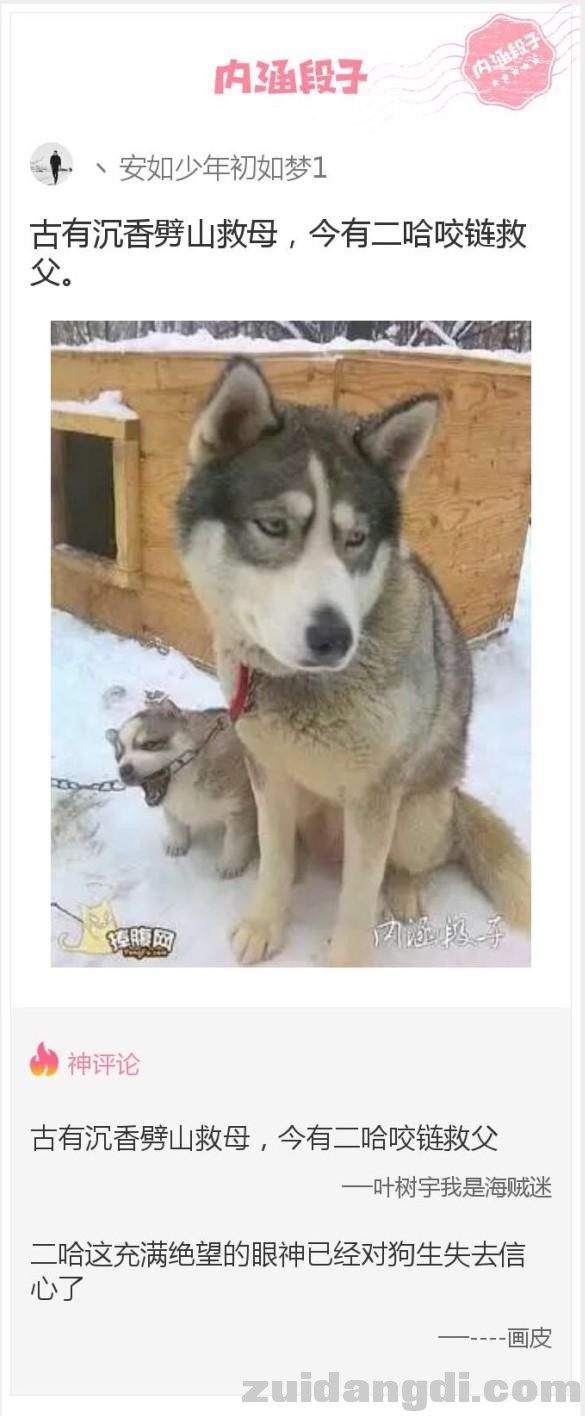 22cb0003a3181cd7d476