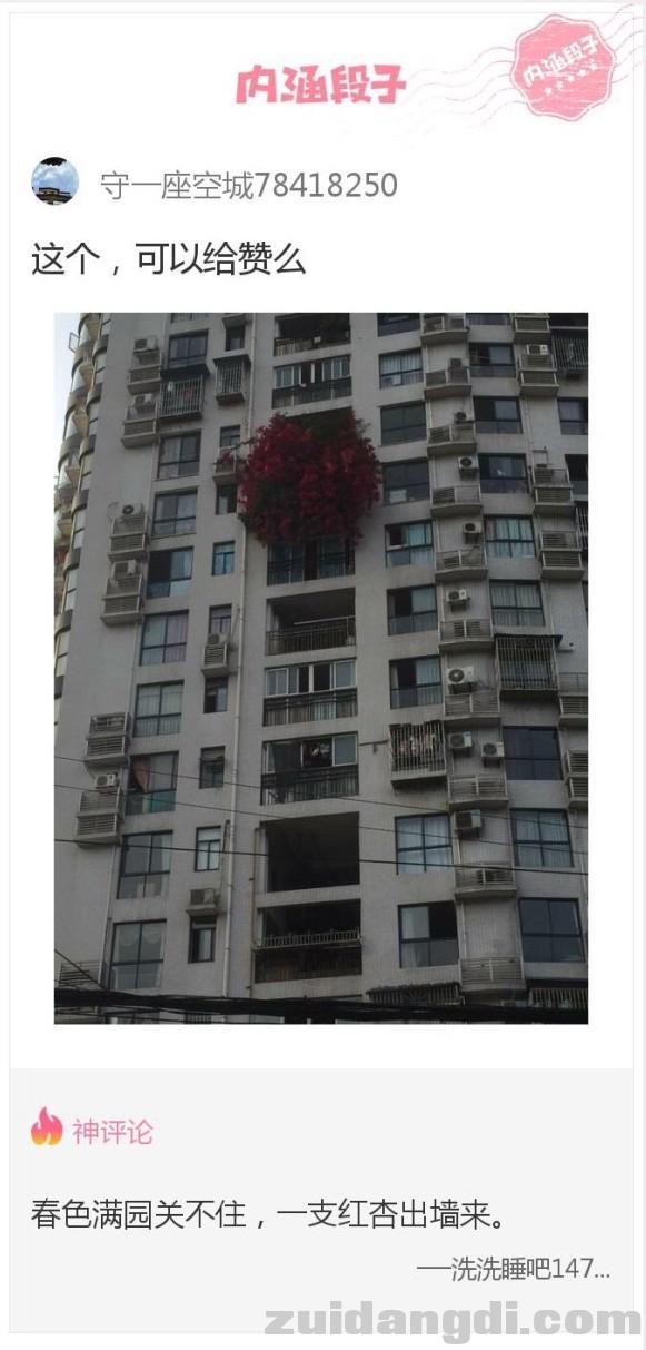 213e00011c779bc55fdb