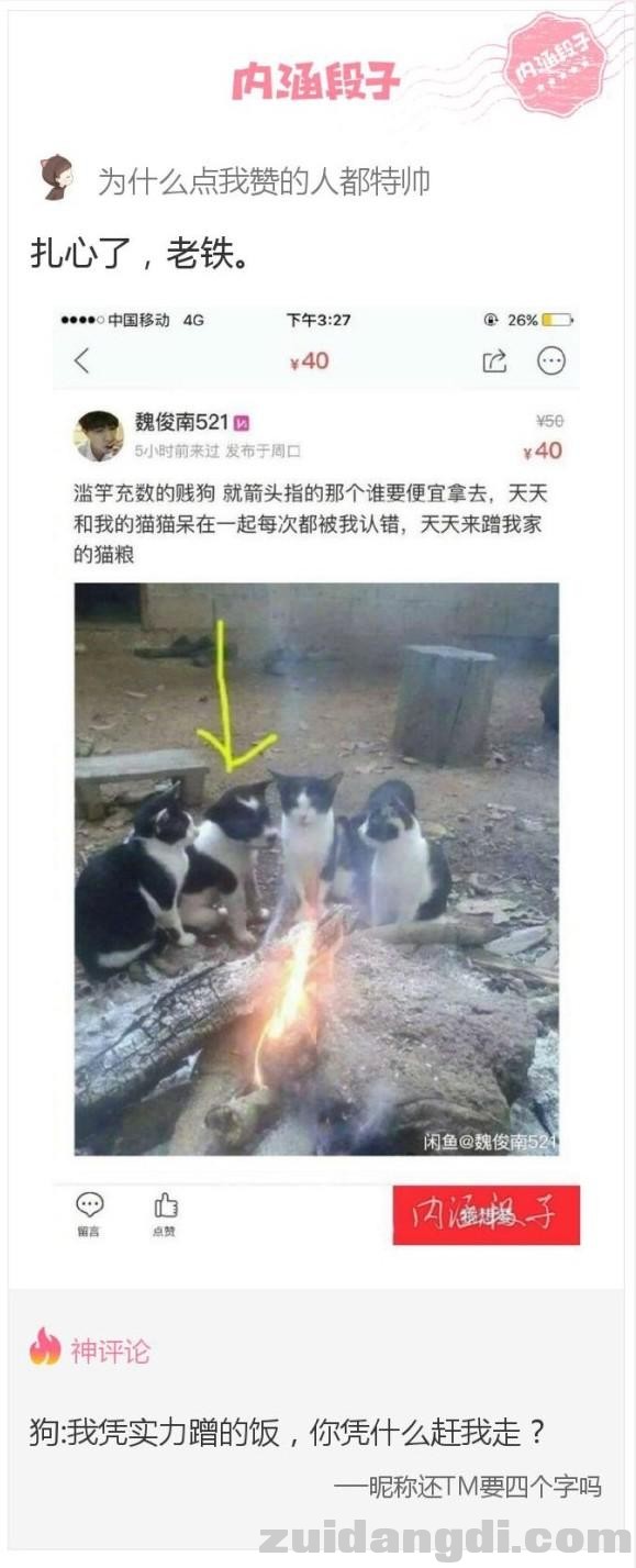 22cf0003a8b3f80e25c3