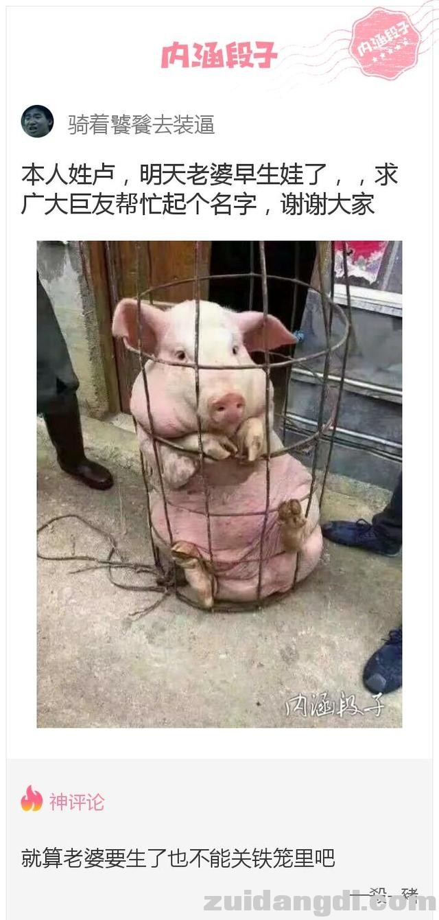 242b00017b713c53428a