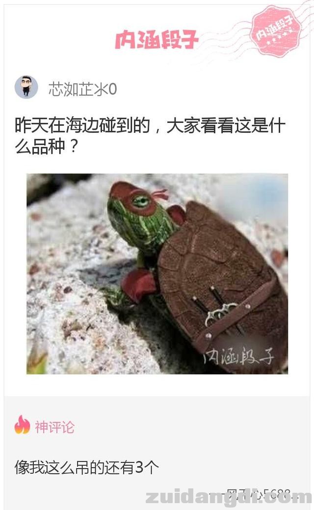 242b00017b70b577230b