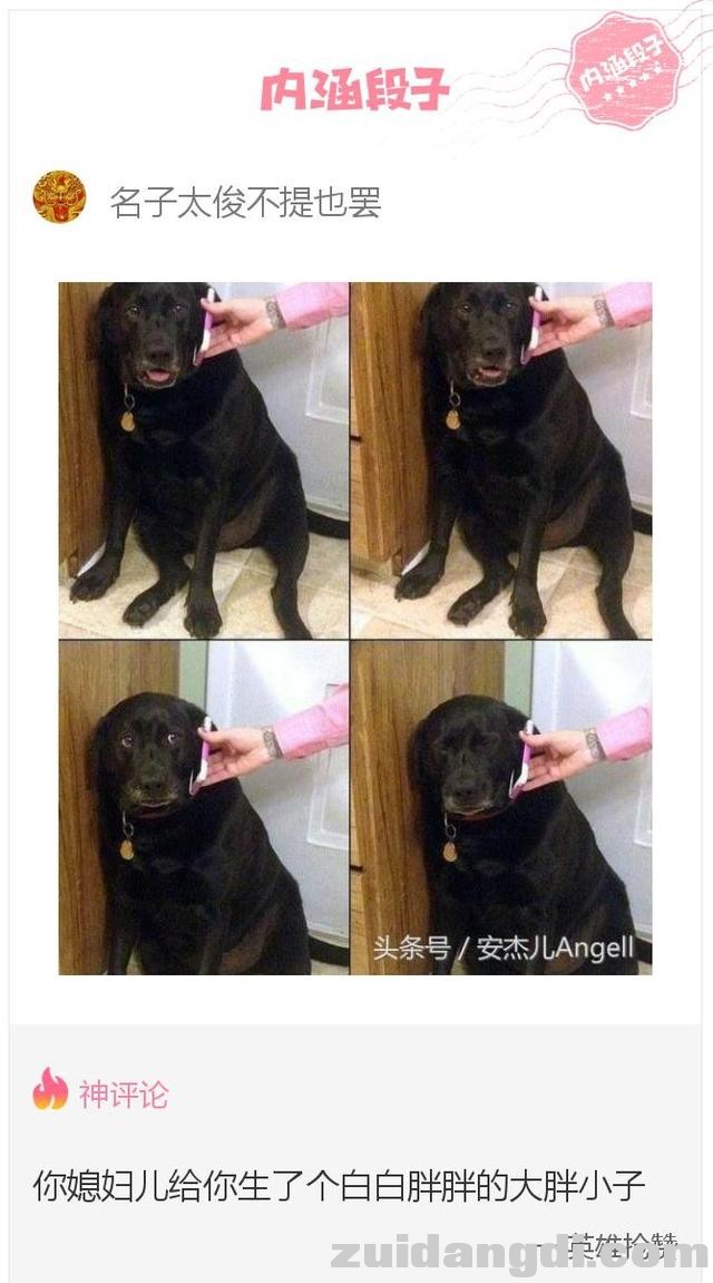 2433000192917c53f492