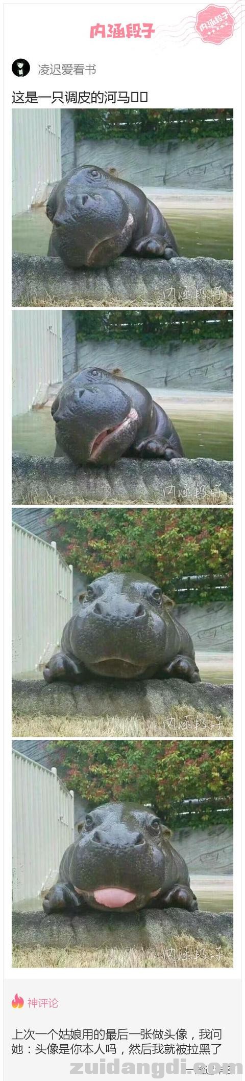 24320003da16dbdf92d3