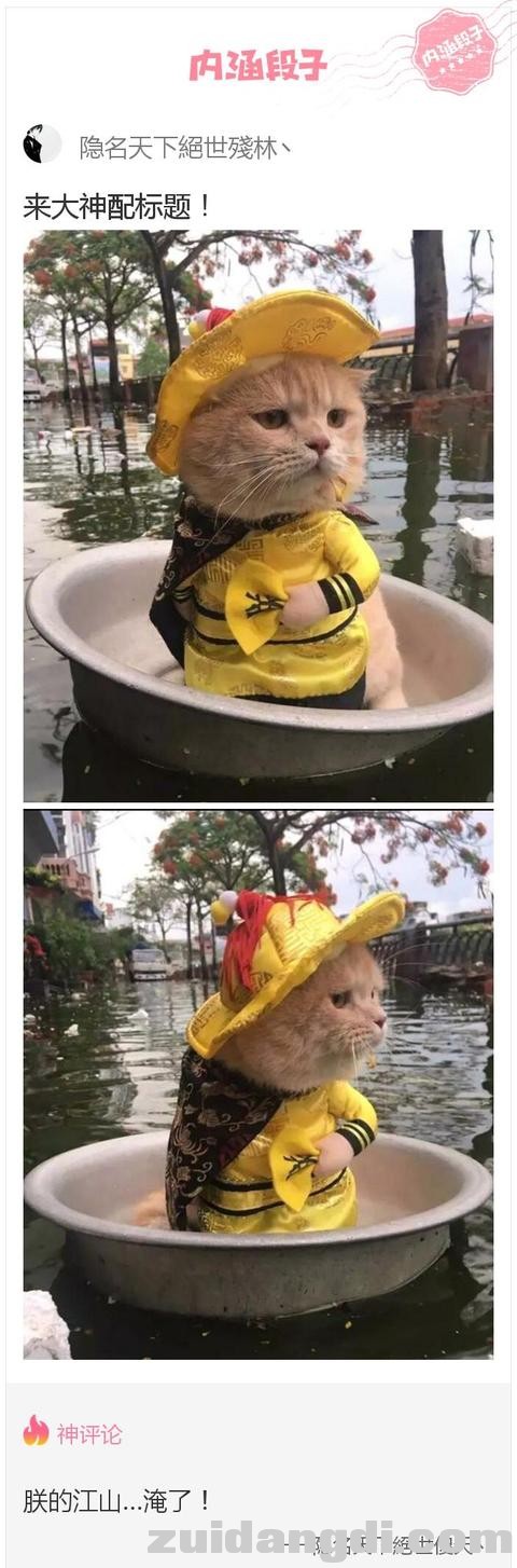 24360001fb60c6c5fb45