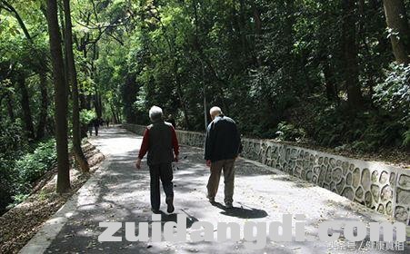 1b830004d04a0b3d26c8