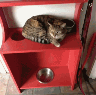 22dc00042065a6e7a33a