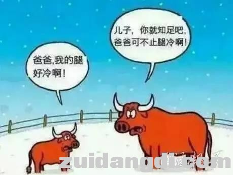 24290005cfdbaca98f38