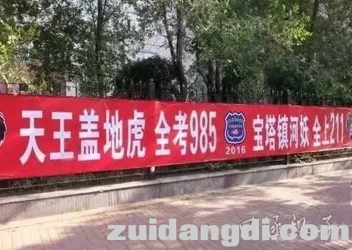 24330004a49347601cb1