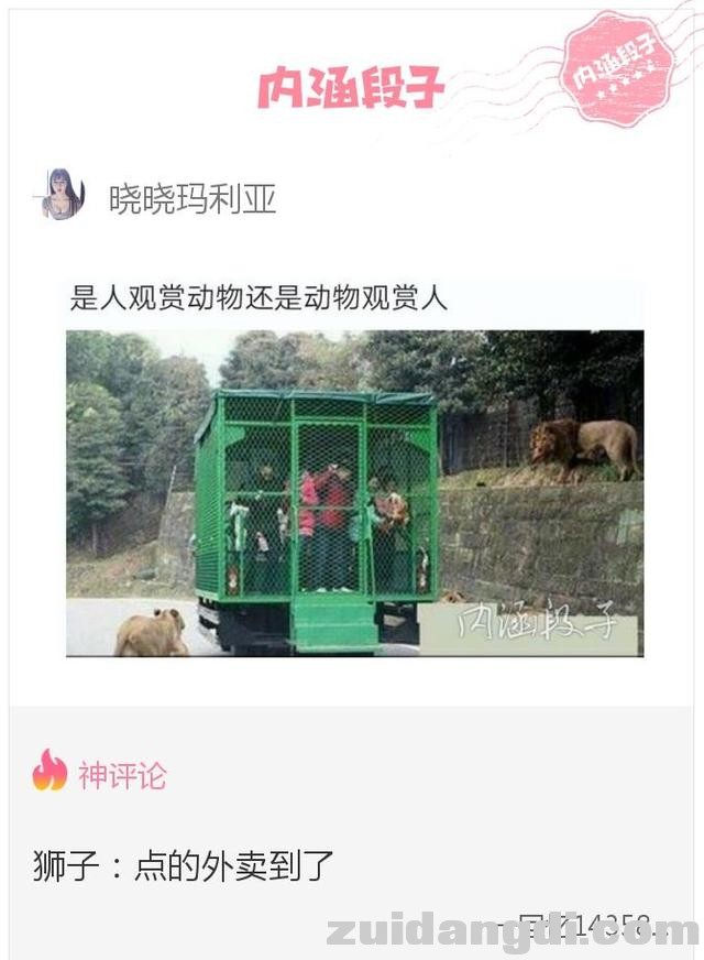 2439000140a94bfc19c8