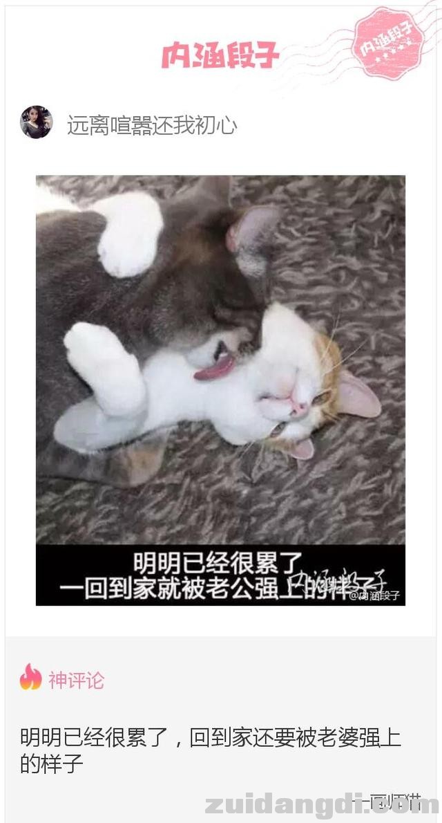 26ee000287b39cac7b4b