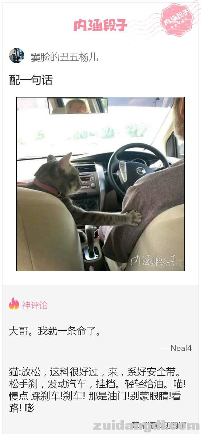 26ee000287b45c8669a6